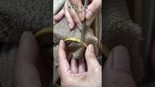 34克，旧料回炉重造 满天星手镯 戒指。#满天星手镯 #合浦打金 #来料加工 #合浦李记灵作