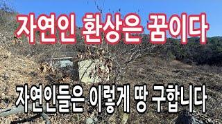 자연인 환상  아무나 못해요ㅣ최소한의 생활