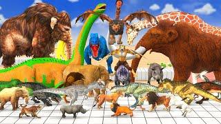 Can You Beat the Odds and Win with Saber Tooth in Super Animal Battle Simulator