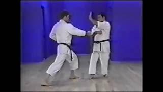 Goju ryu kata. Saifa. Bunkai.