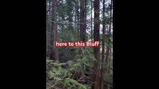 Here, I am going to show you how I build a 12 x 16 cabin in the forest from chainsaw milled lumber.