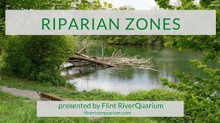 Riparian Zones