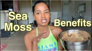 Sea Moss Benefits & Why I Started Using It