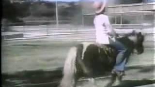 Alice diner (1980)