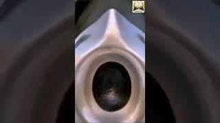 মাশা আল্লাহ জান্নাতি পাথর️Islamer Pothe️Hadis