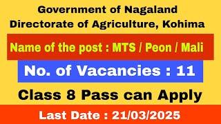 Class 8 Passed Apply for 11 Post of Peon, Government of Nagaland. 10/03/2025