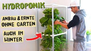 Hydroponik - So kannst du überall Gemüse und Kräuter anbauen - auch ohne Garten und im Winter!