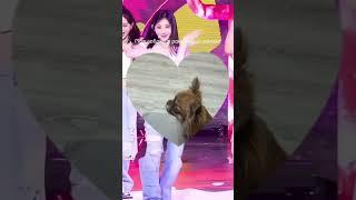 9 видео за день.... (Мой рекорд)