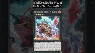 What Does Brotherhood of the Fire Fist - Cardinal Do? (Yugioh Card Explained for Easy Deck Building)