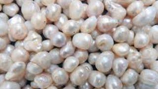 The Power Of Pearl - International Crystal Healer Explains