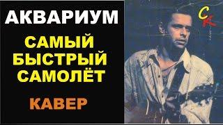 Самый Быстрый Самолёт - Аквариум (кавер - Константин Сапрыкин)