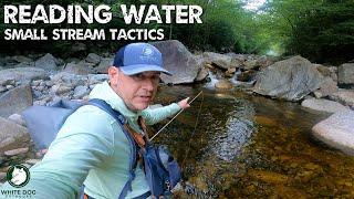 Mastering Small Stream Tactics - READING WATER - FINDING FISH