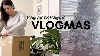 DAY 1 OF 12 DAYS OF VLOGMAS • Christmas tree  set up & more  ¸.•*