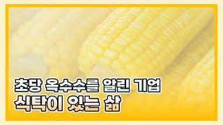 [스타트업 성공 사례] 마케팅 전략으로 소비자 인식을 바꿔 초당옥수수를 국내에 알린 '식탁이 있는 삶'