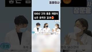 순종에 대한 집착과 그 끔찍한 결과 | 동물의사 Animal Doctor