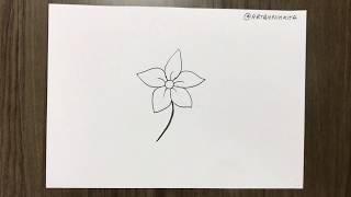 How to draw Jasmine flower easy step by step | A to Z of drawing