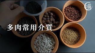 喵王的多肉陽台-種多肉一定要認識的介質/懶人怎麼配土