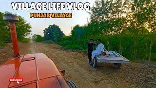 Beautiful village life of Punjab Pakistan | Beautiful Pakistan | Village lifestyle