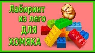 Хомколэнд!Хомяк сбежал! #хомяксбежал#