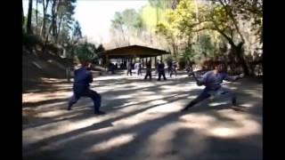 100 JAPAN NINJUTSU: Some Kusari gama training