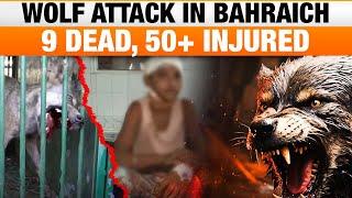 Operation Bhediya: Wolf Attacks Terrorize Villagers in Bahraich, UP - 9 Dead, 50+ Injured | News9