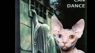 Cat Review- DEAD CAN DANCE - Within The Realm of a Dying Sun (1987) Top Albums of the 80's !