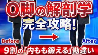 O脚改善の完全攻略！９割が間違える「内もも鍛える」！？