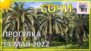 Прогулка по Сочи 14 мая 2022 года | Субтропический рай в отдельно взятом городе