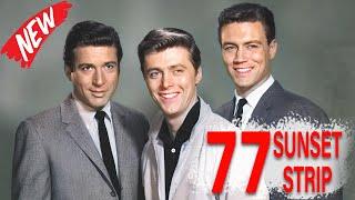 77 Sunset Strip Full Episodes 2024  Private Detective Drama Series  Popular American Tv Show