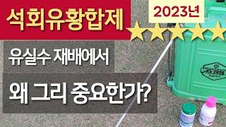 석회유황합제 - 유실수 재배에서 왜 그렇게 중요한가? #석회유황합제 살포시기 밎 효과 #기계유유제, 석회보르도액과의 살포간격