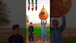 Bakra Laray Bado Badi  #shorts #trending  #eid #bakra