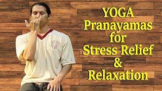 Yoga for Beginners | Breathing Exercises for Stress Relief and Relaxation | Beginners Pranayama