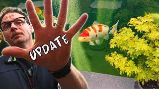 Koi Pond Build Update: Essential Bio Filtration & Future Plans