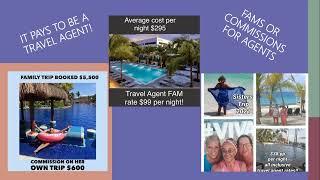How to earn money in the Travel Industry!