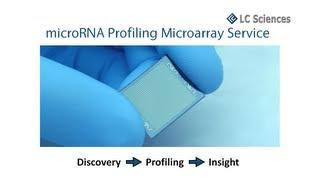 microRNA Microarray Service