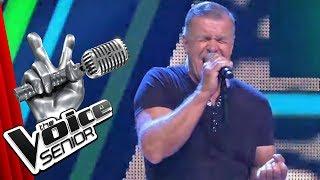 Die Ärzte - Junge (Steffen Martin) | The Voice Senior | Audition | SAT.1 TV