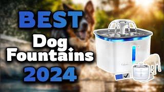 Top Best Dog Fountains in 2024 & Buying Guide - Must Watch Before Buying!