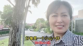 这是新加坡的富人区吗？路好窄