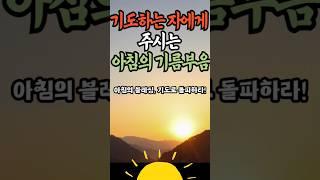기도하는자에게 주시는 아침의 기름부음 블레싱 #기독교영상콘텐츠 #아침기도 #아침묵상 #블레싱 #축복 #축복의통로