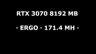 Hive os Setting  RTX 3070 8192 MB · ERGO · 171 4 MH