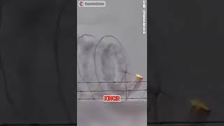 kejadian unik dan mengerikan tertangkap kamera  #shorts #trending
