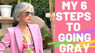 MY 6 STEPS TO GOING GRAY | Nikol Johnson