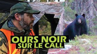 Ours noir sur le call - Aventures Nipissi | Roadhunt - Saison 5 Épisode 7