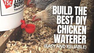 Best Chicken Watering System under $10