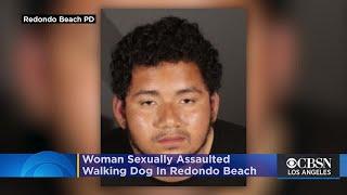 Woman Walking Dog Sexually Assaulted In Redondo Beach, Good Samaritan Detains Suspect