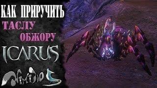 Icarus online(RU). Как приручить...#2 - Тасла Обжора. ВАЖНО: ЧИТАЕМ ОПИСАНИЕ