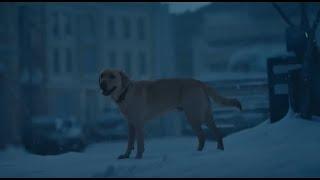 Budweiser Super Bowl 2024 LVIII (58) Commercial - Old School Delivery