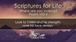 Scriptures for Life | Where are You Looking