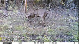 Big Hollow Recreation Area - iowa public hunting.