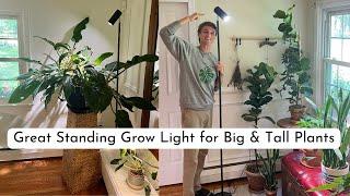 Best LED Grow Light for Tall & Big Plants - Floor Lamp